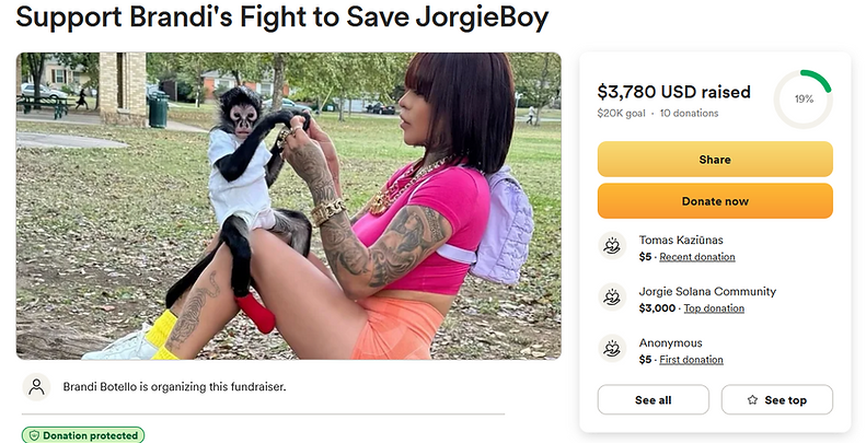 GOFUNDME.PNG